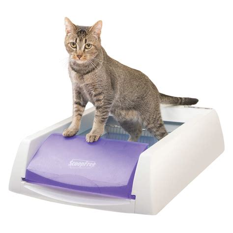 amazon cat litter|Amazon Best Sellers: Best Cat Litter.